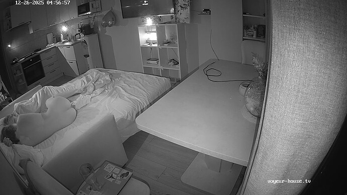 realm134-cam13-1766714252