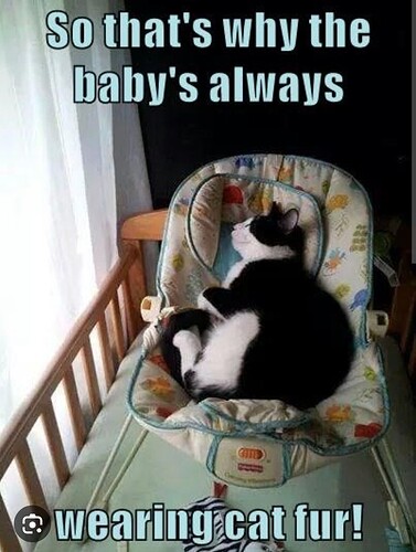 main-qimg-ef89e9602fa5955ffe4436904438fc99