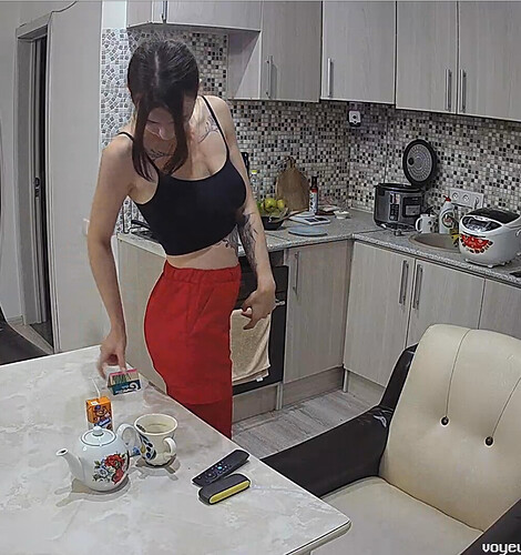 Screenshot 2023-08-04 at 13-23-56 Kitchen camera at Tali reallifecam apartment at Voyeur House TV (cam12)