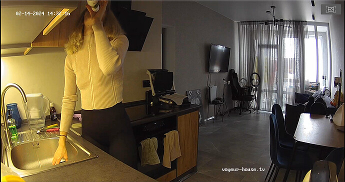 Screenshot 2024-02-14 at 09-07-03 Living room camera at Amelie & Lucas reallifecam apartment at Voyeur House TV (cam15)