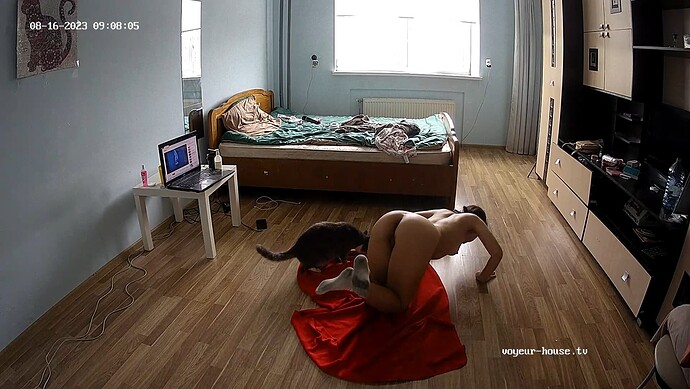 realm11-cam17-1692166135