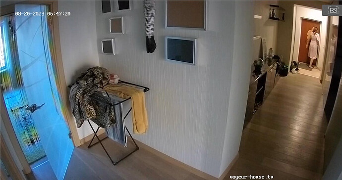 Screenshot 2023-08-20 at 03-56-58 Bedroom camera at Momo reallifecam apartment at Voyeur House TV (cam18)