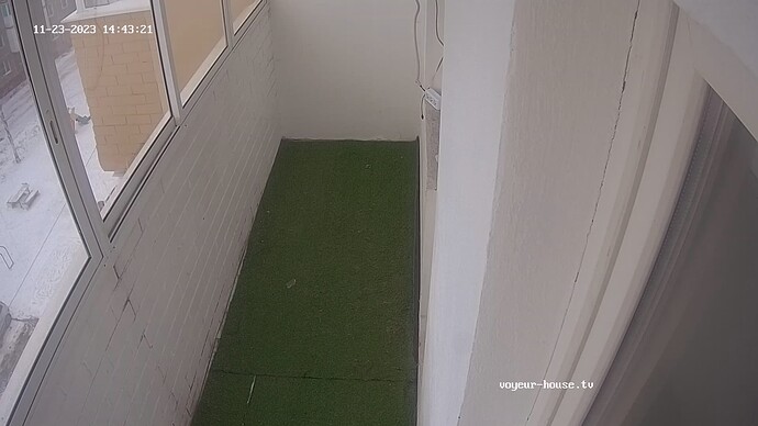 realm62-cam112-1700739831