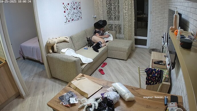 realm66-cam13-1761405040