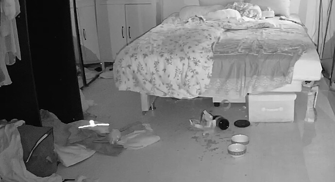 chrome-capture-2025-10-20