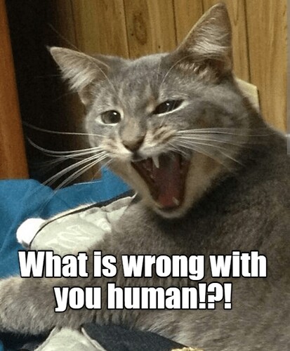 main-qimg-2cfeca328db6517fe230ebd1d00531c7