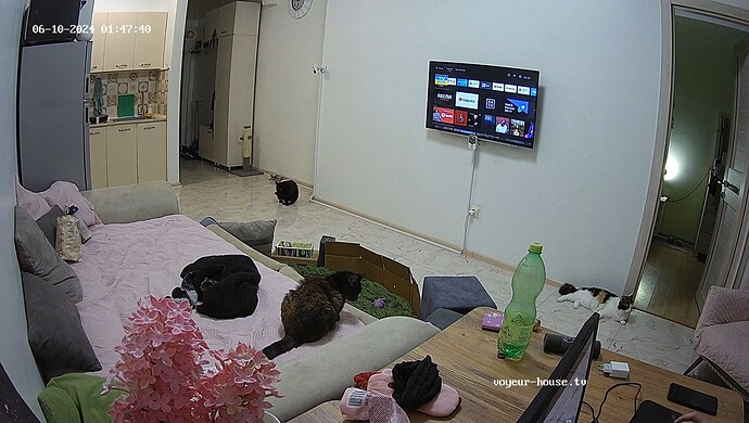 realm98-cam15-1717969945