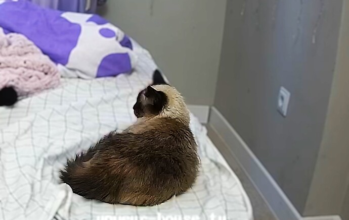 bandicam 2025-11-18 14-14-35-371