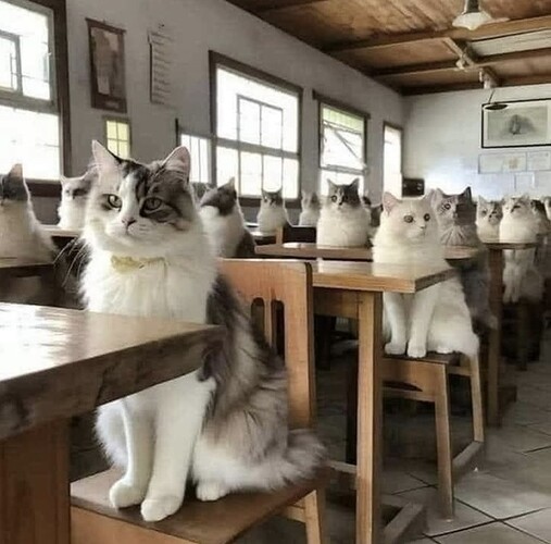 First, class - How to scratch the armchair