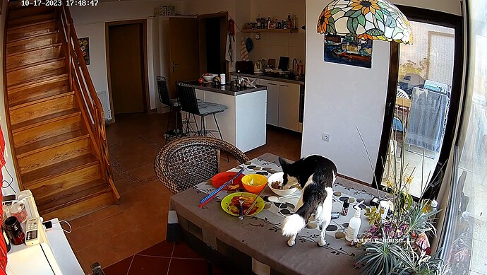 realm81-cam13-1697557764