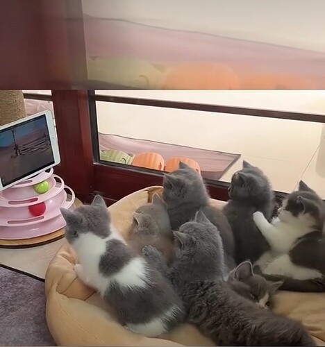 main-qimg-3280055e0498f86b03c4e9d52e7b87ff