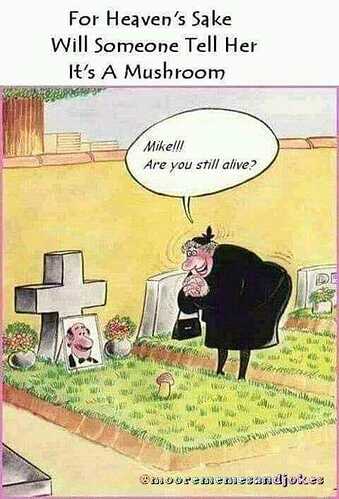 419308312_393564039808097_8093474399868542773_n