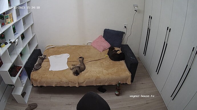 realm65-cam14-1704030792