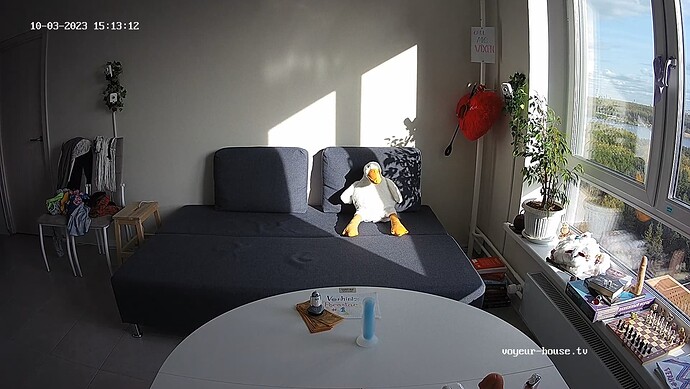 realm80-cam14-1696335226