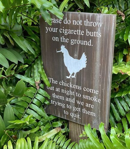 pix-dump-1792-042-64d6a1912b1c7