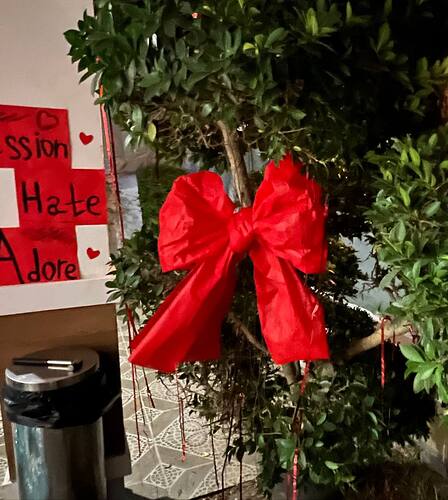 photo_2026-02-12_14-02-36