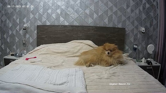 realm18-cam17-1760676912