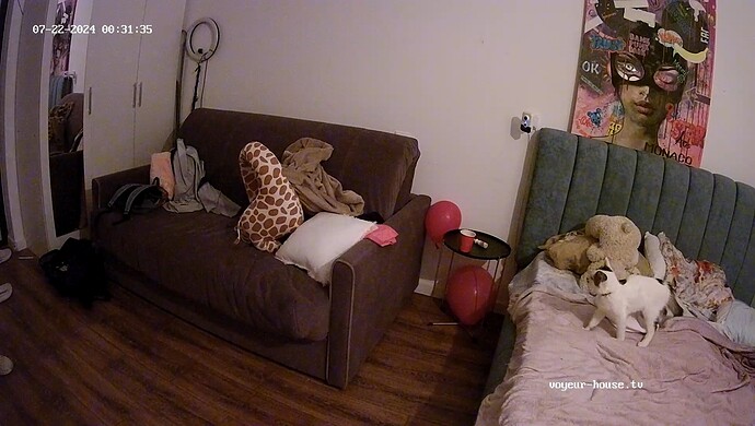 realm15-cam14-1721597523