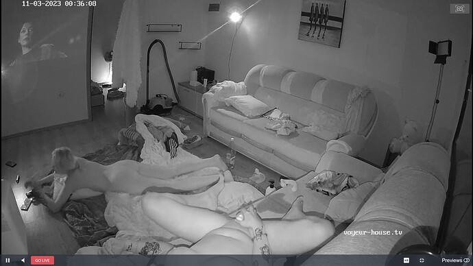 Noldus 2023-11-03 06-00-02-542