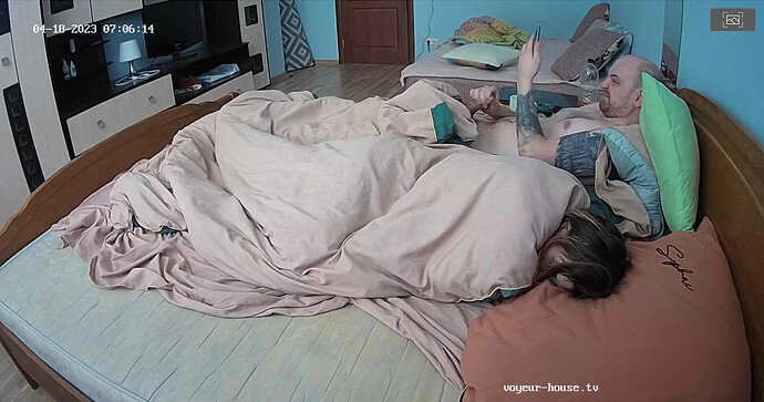 Screenshot 2023-04-18 at 04-21-06 Living room camera at Jakar & Lilka reallifecam apartment at Voyeur House TV (cam15)