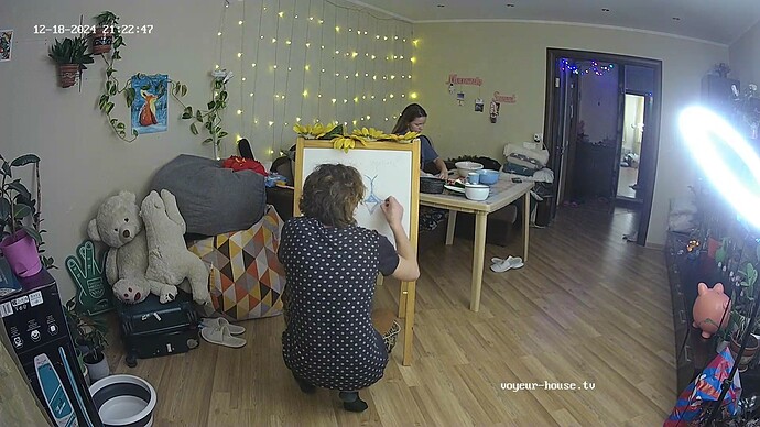 Living room camera at Ariela reallifecam apartment at Voyeur-101