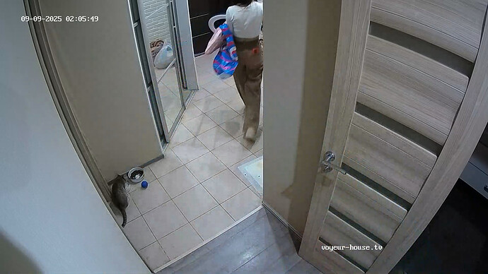 Purrpaw-20250909-03