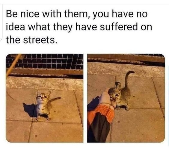 main-qimg-8a009b19d62a999671c1f38984f2ee8e