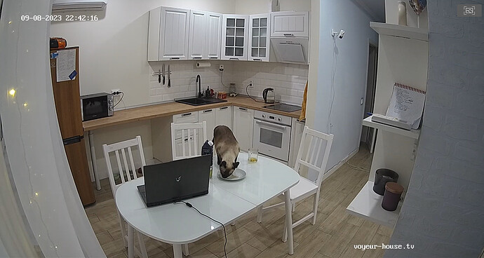 bandicam 2023-09-08 20-42-46-515