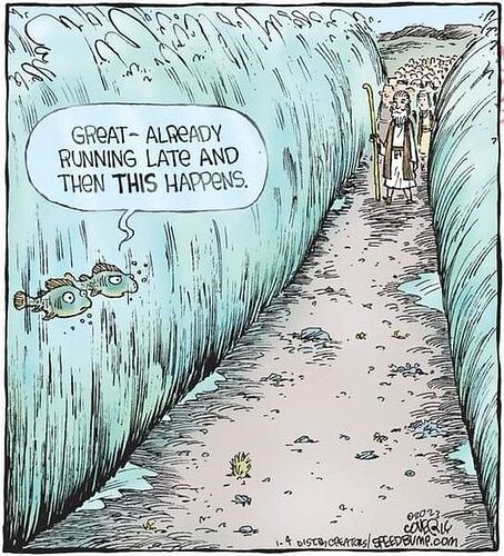 419744714_7286516754743674_775773389182406226_n