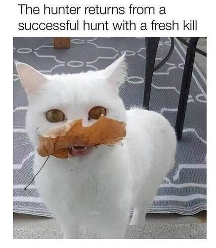 main-qimg-cd229dcb906887229f7b2847a2851458-lq