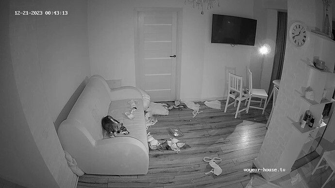 realm36-cam13-1703108625