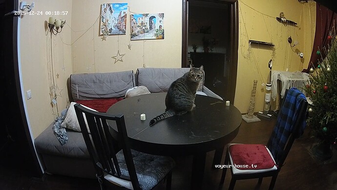 realm7-cam15-1766524838