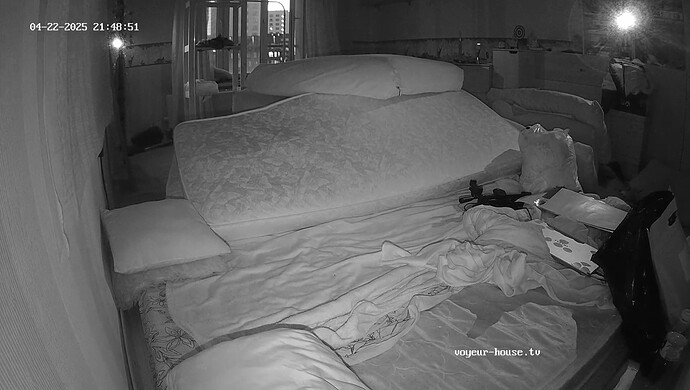 realm55-cam19-1745336965