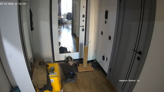 realm42-cam110-1776351450