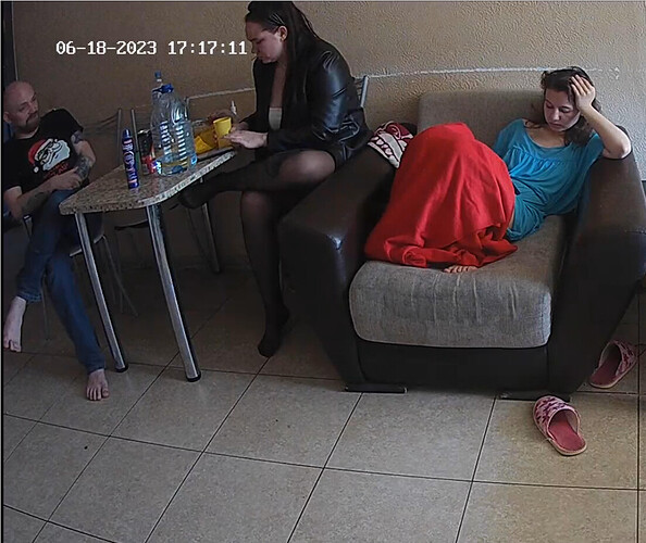 Screenshot 2023-06-18 at 10-18-15 Guest bedroom camera at Sophia Elon Claudia reallifecam apartment at Voyeur House TV (cam110)