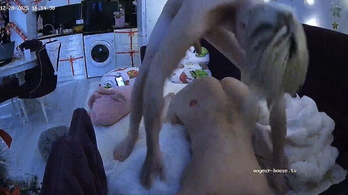 realm123-cam14-1766927797