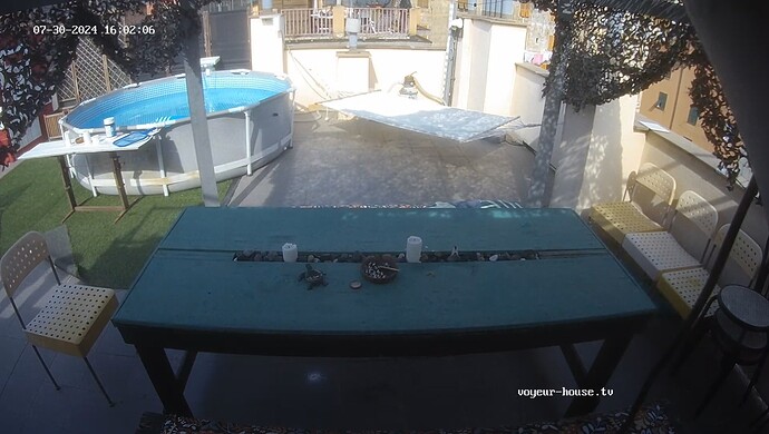 realm30-cam115-1722351761