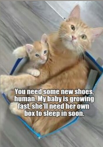 main-qimg-0b3699d5568c333d274c548a5e32de93