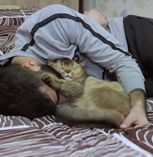 main-qimg-a5e2943aea1c85f2f6d1fe31fa5845f8