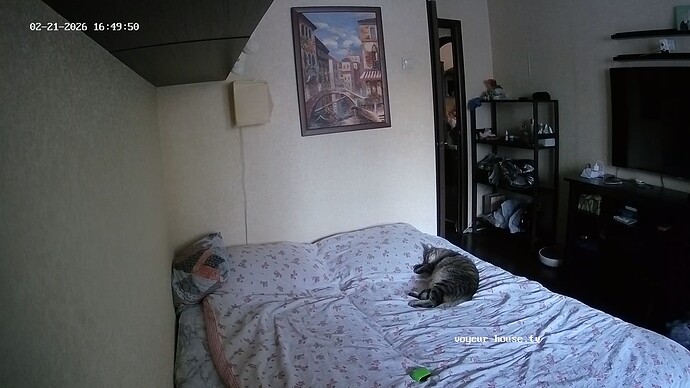 realm7-cam16-1771692942