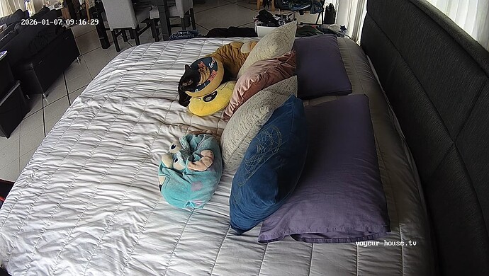 realm139-cam15-1767795412