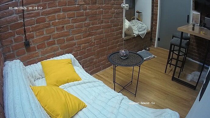 realm115-cam14-1767713136