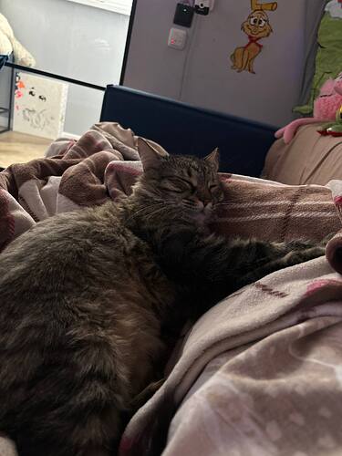 photo_2026-01-25_08-43-53