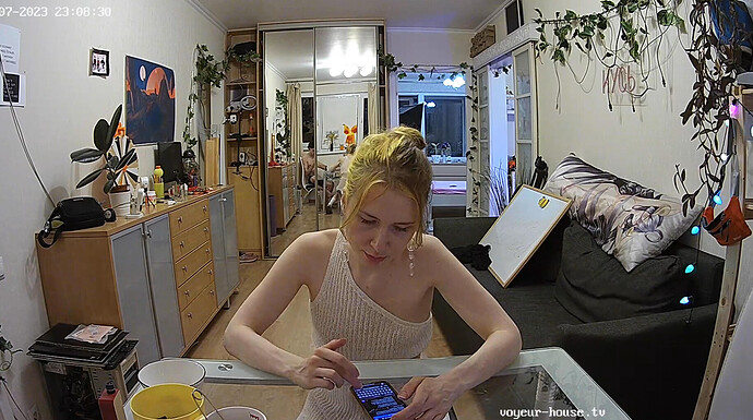 Screenshot 2023-08-07 at 17-18-14 Living room camera at KayaEyes Stive Pure Kitty reallifecam apartment at Voyeur House TV (cam13)