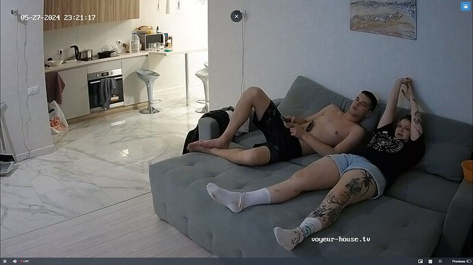 Ashampoo_Snap_lundi 27 mai 2024_22h21m55s_047_Living room camera at Harmony reallifecam apartment at Voyeur House TV (cam15) - Google Chrome