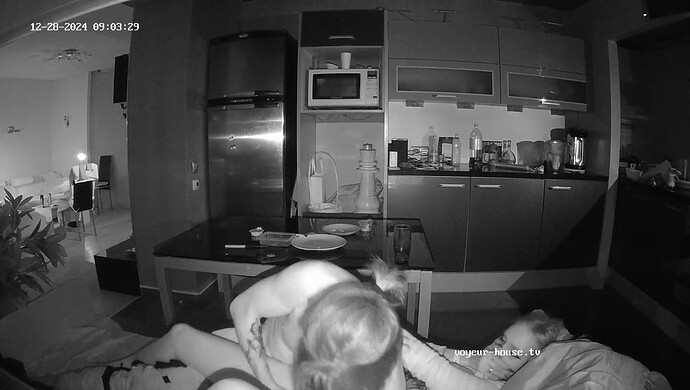 realm55-cam12-1735355043