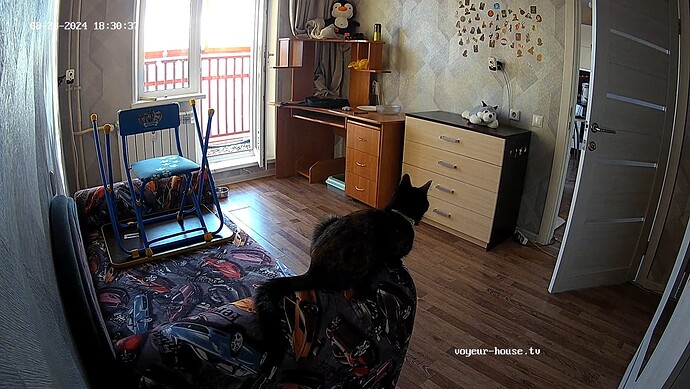 realm69-cam17-1724423471