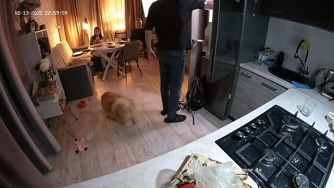 realm18-cam11-1765656037 (1)