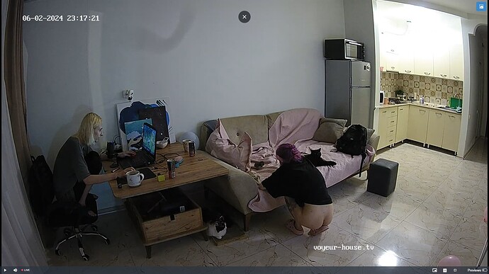 Ashampoo_Snap_dimanche 2 juin 2024_21h17m48s_030_Living room camera at Inira & Unuk reallifecam apartment at Voyeur House TV (cam13) - Google Chrome