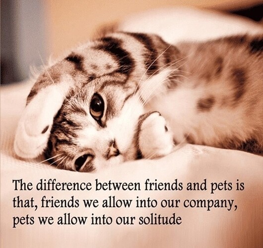 main-qimg-312d931bf80fc27ac19daa53e83891f4